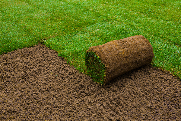 sod roll